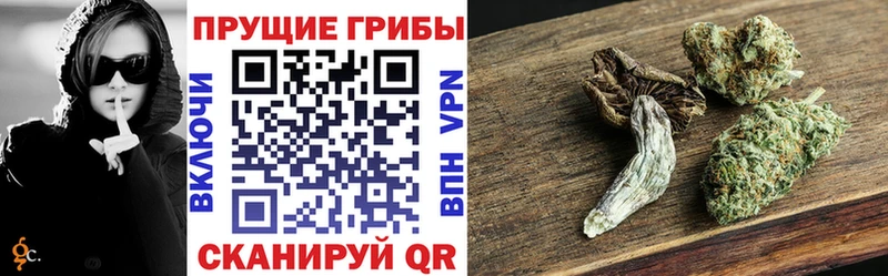 Галлюциногенные грибы мицелий  Мглин 